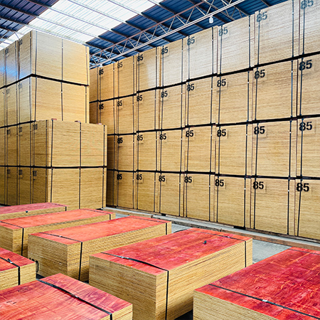 13厘建筑模板發海南